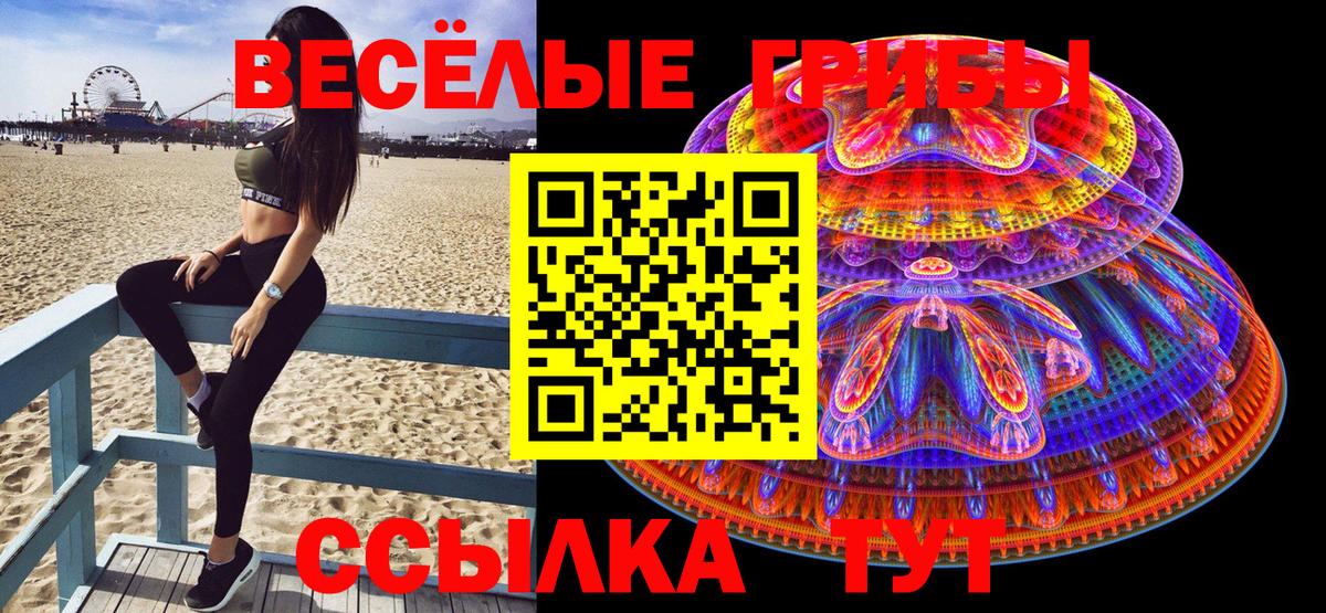 Псилоцибиновые грибы MAGIC MUSHROOMS Гусев